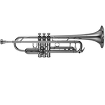 Труба YAMAHA YTR-8335S, фото 